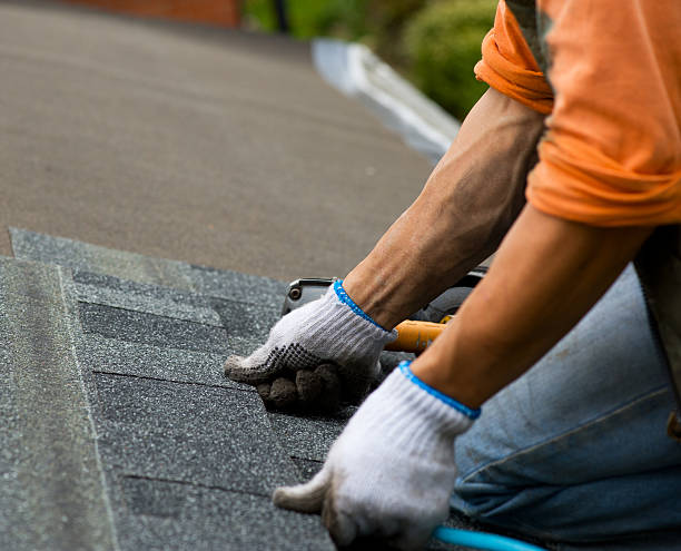 Best Local Roofing Companies  in Aurora, TX