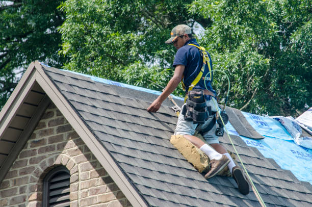 Best Roof Gutter Cleaning  in Aurora, TX